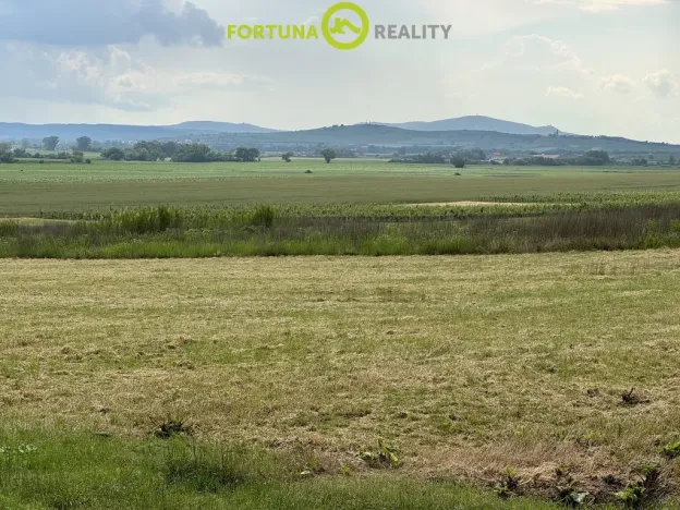 Prodej sadu/vinice, Velké Bílovice, 1039 m2