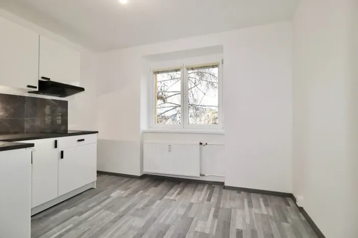 Prodej bytu 1+1, Teplice, Ruská, 30 m2