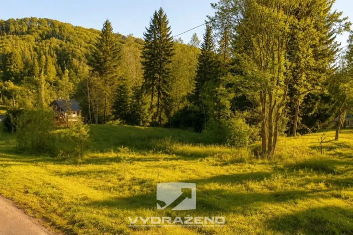Prodej louky, Svor, 1715 m2