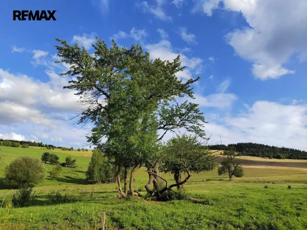 Prodej pozemku pro bydlení, Malá Morava, 1039 m2