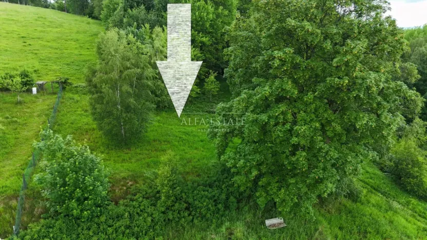 Prodej louky, Oloví, Horní, 420 m2