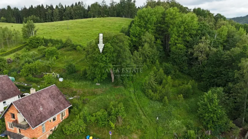 Prodej louky, Oloví, Horní, 420 m2