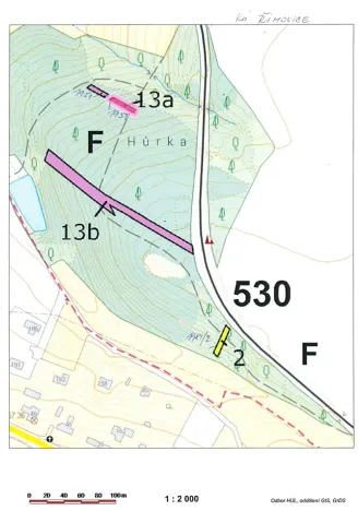 Prodej lesa, Řimovice, 522 m2