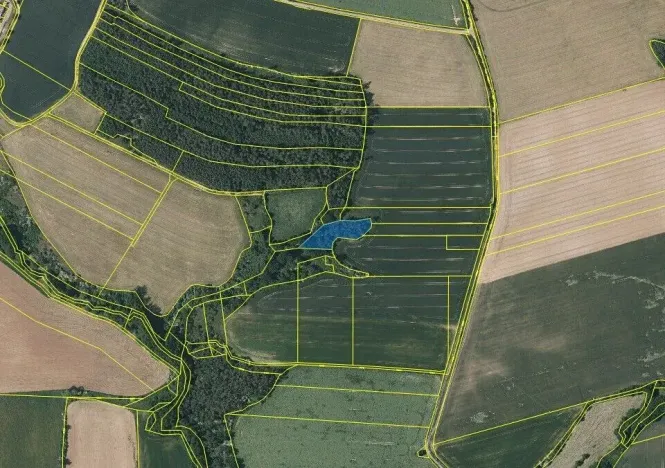 Prodej lesa, Černíkovice, 2471 m2
