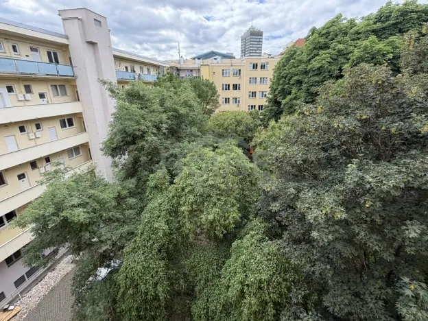 Prodej bytu 1+1, Praha - Vinohrady, Hollarovo náměstí, 43 m2