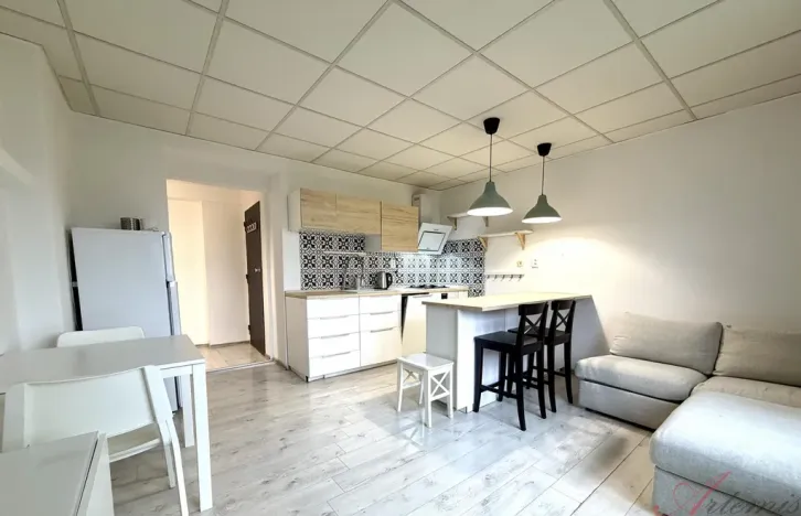 Pronájem bytu 2+kk, Ostrava - Moravská Ostrava, Nedbalova, 48 m2
