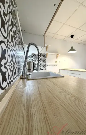 Pronájem bytu 2+kk, Ostrava - Moravská Ostrava, Nedbalova, 48 m2