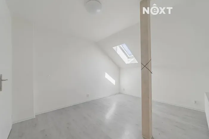 Prodej rodinného domu, Staré Město, Jamnická, 250 m2