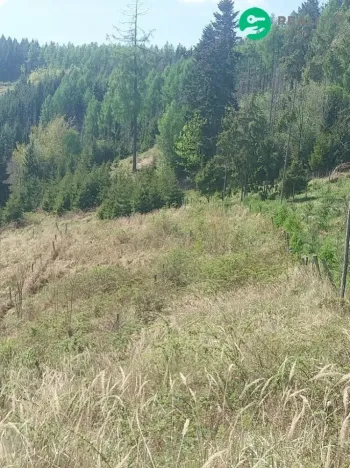 Prodej lesa, Spešov, 2317 m2