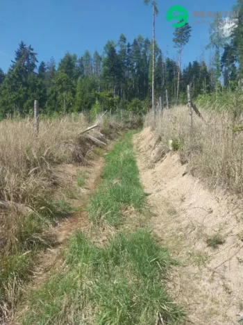 Prodej lesa, Spešov, 2317 m2