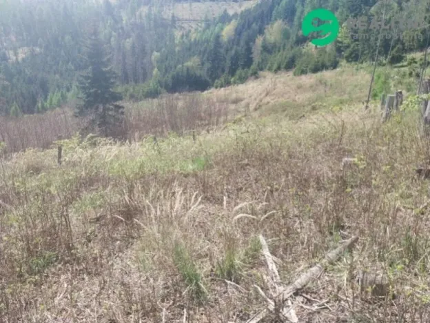 Prodej lesa, Spešov, 2317 m2