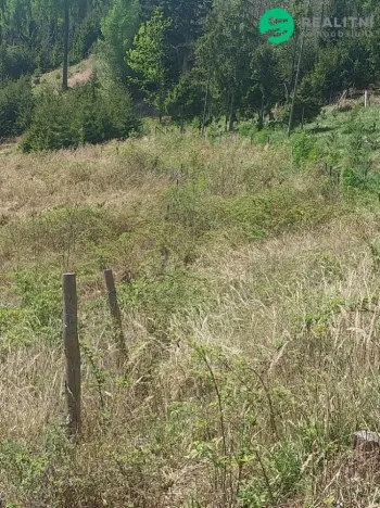 Prodej lesa, Spešov, 2317 m2
