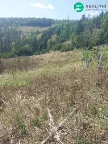Prodej lesa, Spešov, 2317 m2