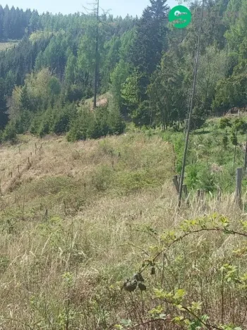Prodej lesa, Spešov, 2317 m2