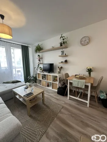 Pronájem bytu 2+kk, Kolín, Radimského, 39 m2
