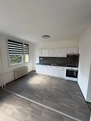 Prodej bytu 3+1, Bílina, Čapkova, 54 m2