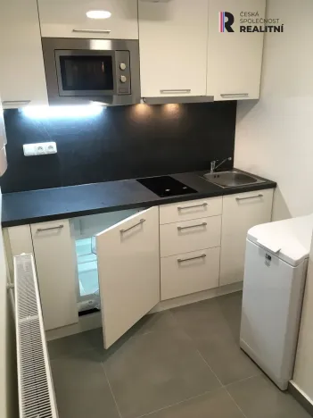 Pronájem bytu 1+kk, Brno - Sadová, Kyselkova, 30 m2