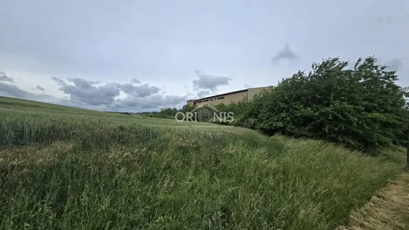 Prodej komerčního pozemku, Lubenec - Libyně, 8620 m2