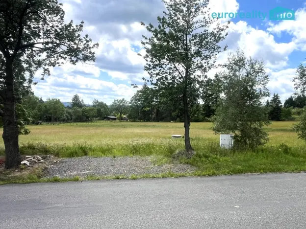 Prodej pozemku pro bydlení, Nepomuk, 3471 m2