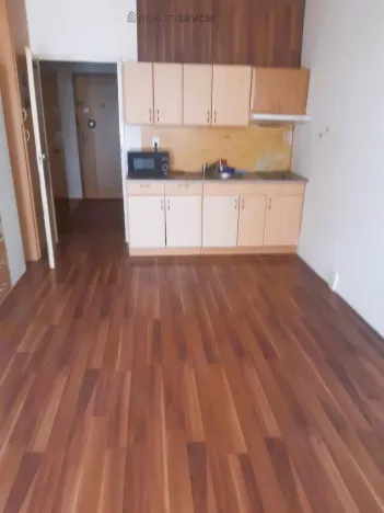 Prodej bytu 1+kk, České Budějovice - České Budějovice 2, Dlouhá, 27 m2