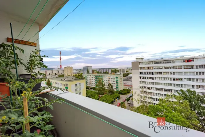Prodej bytu 1+kk, Mladá Boleslav - Mladá Boleslav III, Jičínská, 39 m2