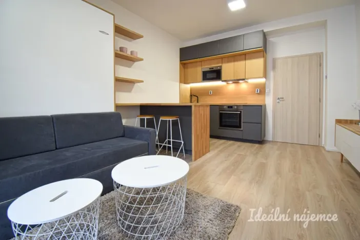 Pronájem bytu 1+kk, Brno - Zábrdovice, Přadlácká, 28 m2