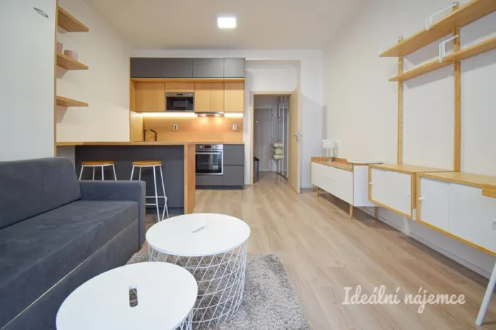 Pronájem bytu 1+kk, Brno - Zábrdovice, Přadlácká, 28 m2