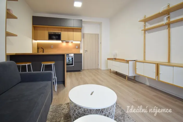 Pronájem bytu 1+kk, Brno - Zábrdovice, Přadlácká, 28 m2