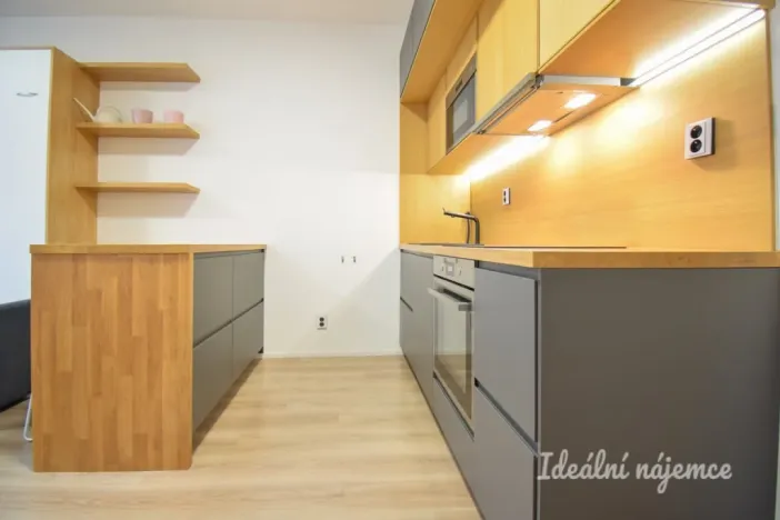 Pronájem bytu 1+kk, Brno - Zábrdovice, Přadlácká, 28 m2