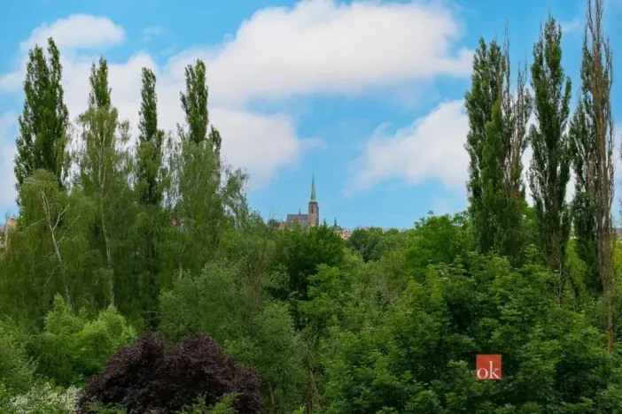 Pronájem bytu 3+1, Plzeň - Severní Předměstí, Pod Záhorskem, 78 m2