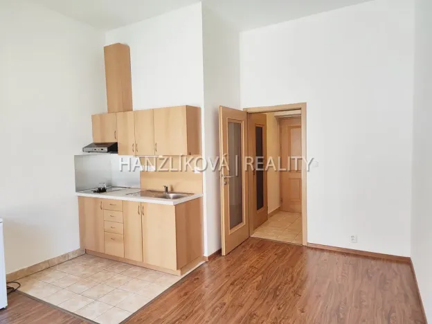 Pronájem bytu 1+kk, České Budějovice - České Budějovice 3, Riegrova, 30 m2