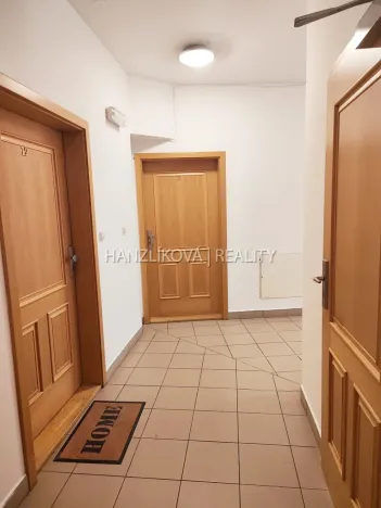 Pronájem bytu 1+kk, České Budějovice - České Budějovice 3, Riegrova, 30 m2