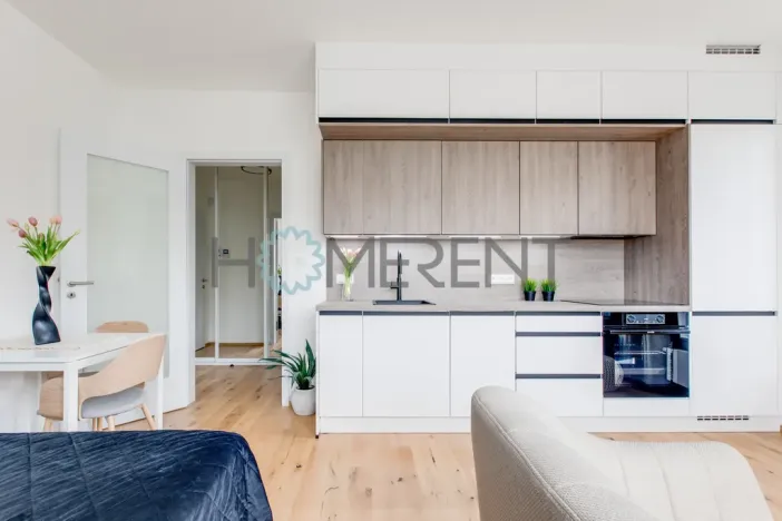 Pronájem bytu 1+kk, Praha - Nusle, Závišova, 30 m2