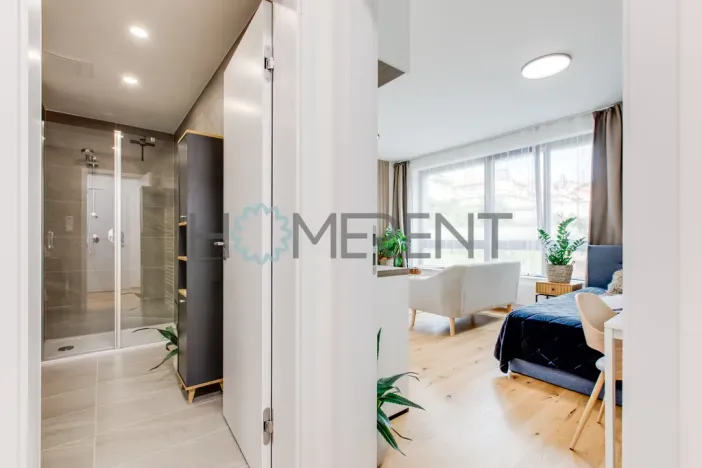 Pronájem bytu 1+kk, Praha - Nusle, Závišova, 30 m2