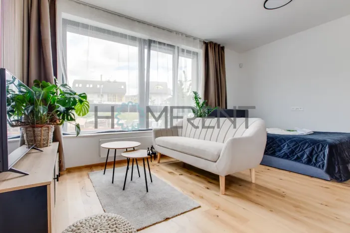 Pronájem bytu 1+kk, Praha - Nusle, Závišova, 30 m2