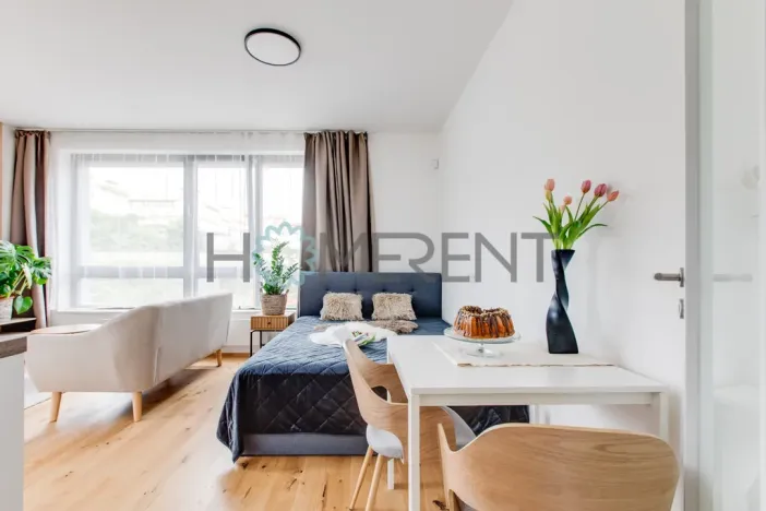 Pronájem bytu 1+kk, Praha - Nusle, Závišova, 30 m2