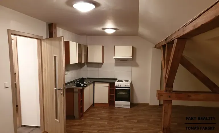 Pronájem bytu 1+kk, Ústí nad Labem, Londýnská, 52 m2