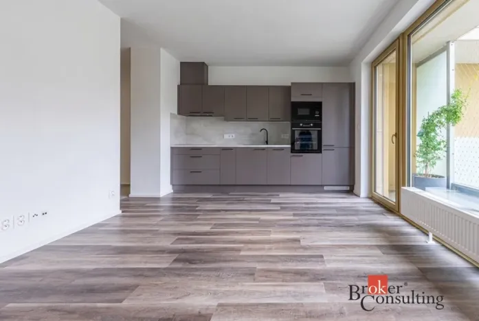 Pronájem bytu 1+kk, Plzeň - Východní Předměstí, Zahradní, 40 m2