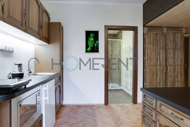 Pronájem bytu 1+kk, Praha - Nusle, Sekaninova, 35 m2