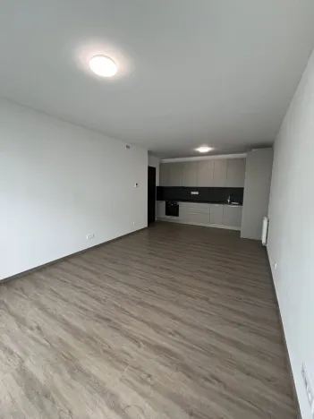 Pronájem bytu 2+kk, Olomouc - Nová Ulice, Třída Jiřího Pelikána, 56 m2