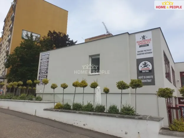 Pronájem kanceláře, Benešov, Nová Pražská, 35 m2