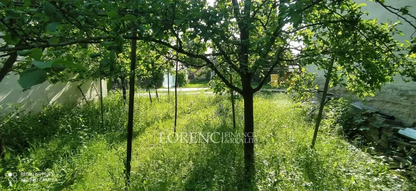 Prodej pozemku, Brumovice, 500 m2