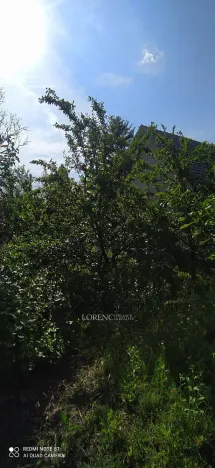 Prodej pozemku, Brumovice, 500 m2