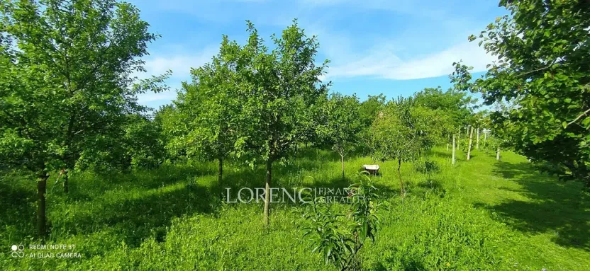 Prodej pozemku, Brumovice, 500 m2