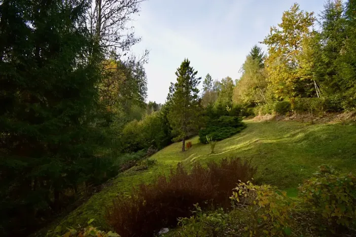 Prodej chaty, Číhošť, 75 m2
