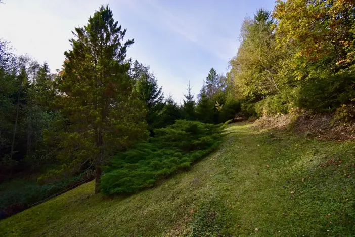 Prodej chaty, Číhošť, 75 m2