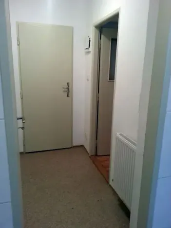 Pronájem bytu 1+kk, Praha - Žižkov, U kněžské louky, 35 m2