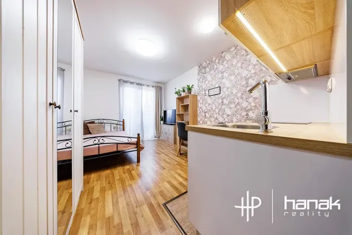 Pronájem bytu 1+kk, Olomouc, Edvarda Beneše, 23 m2