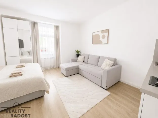 Prodej bytu 1+kk, Praha - Nové Město, Petrská, 29 m2
