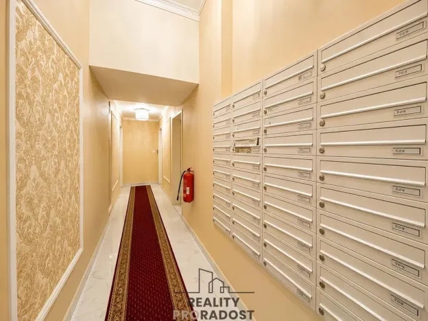 Prodej bytu 1+kk, Praha - Nové Město, Petrská, 29 m2